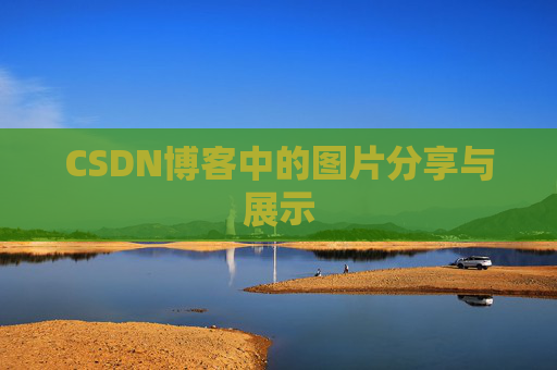 CSDN博客中的图片分享与展示